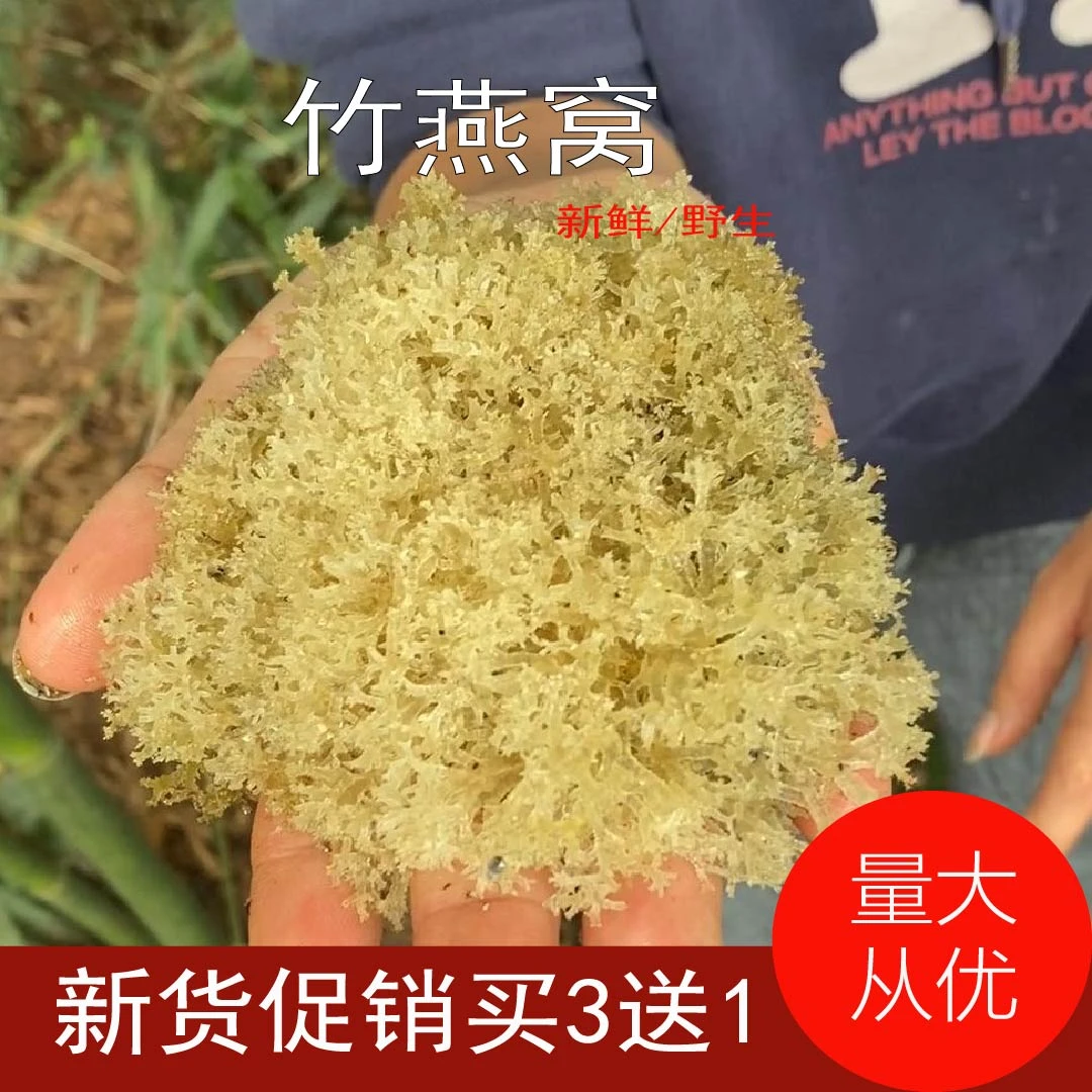 宜宾蜀南竹海特色野生竹燕窝竹花竹菇酒店素食材500g山珍夏日美食