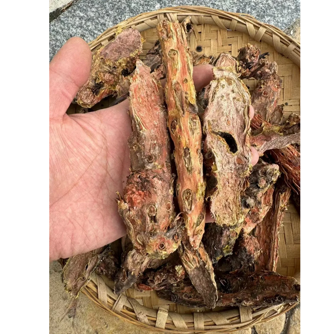 【西藏直发】高海拔大花红景天正品红景天高原