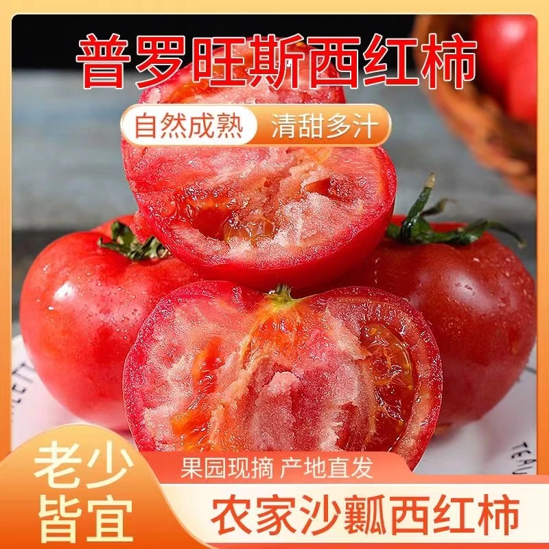 【坏果包赔】陕西泾阳普罗旺斯水果西红柿生吃沙瓤番茄洋柿子