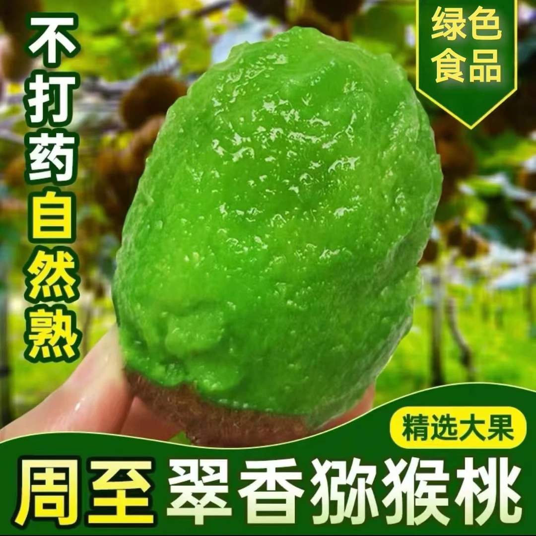 【壹哥专属】陕西周至正宗翠香猕猴桃新鲜应季现摘现发坏果包赔