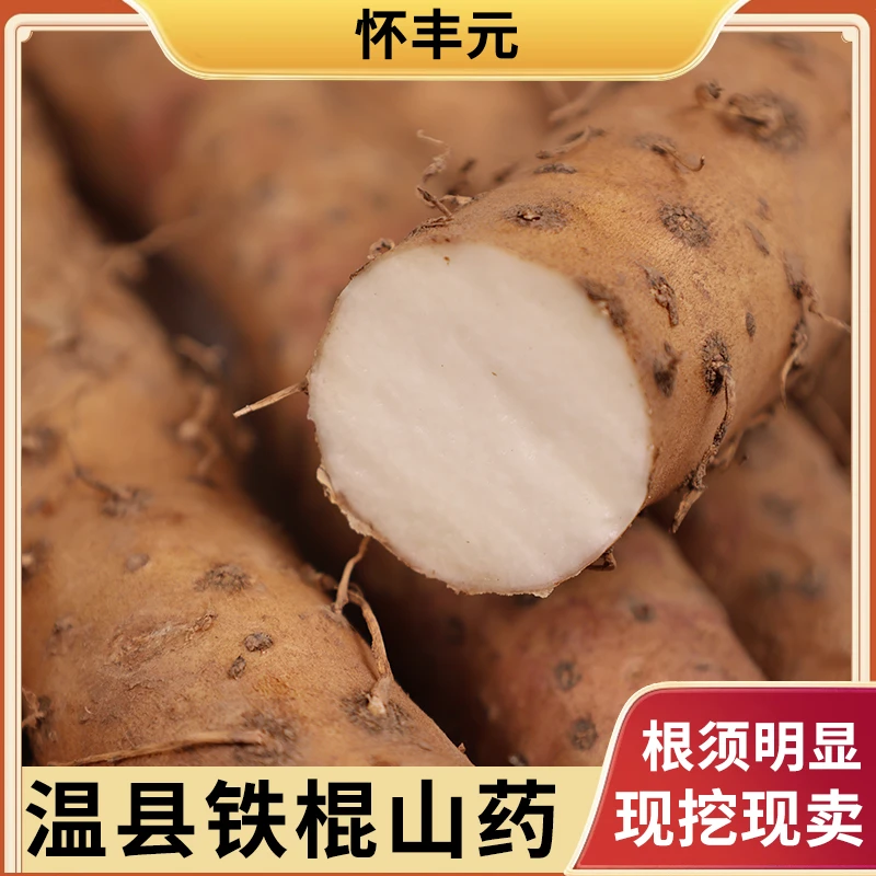 垆土铁棍山药河南焦作温县新鲜现挖怀山药香甜软糯营养农产品