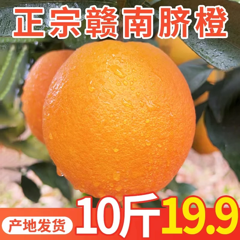 江西赣南脐橙子新鲜水果当季整箱正宗精品大果赣州爆汁原产地现摘