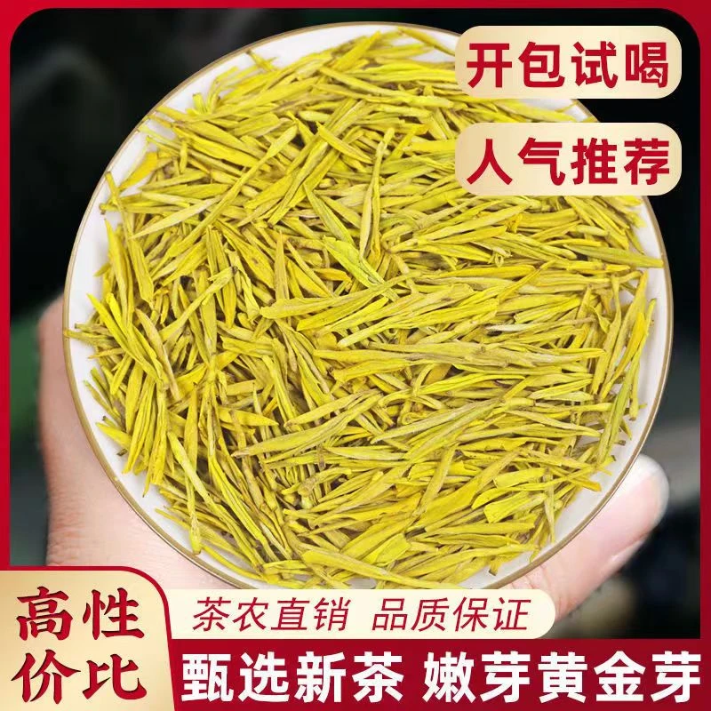 【新人福利】黄金芽新茶春茶嫩芽珍稀绿茶高浓香耐泡型散装罐装爆款