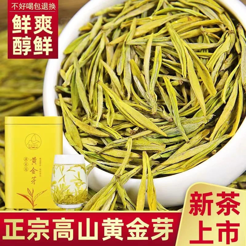 【春茶黄金芽贵一点更好喝】珍惜新茶浓香豆香味绿茶口粮茶袋装批发