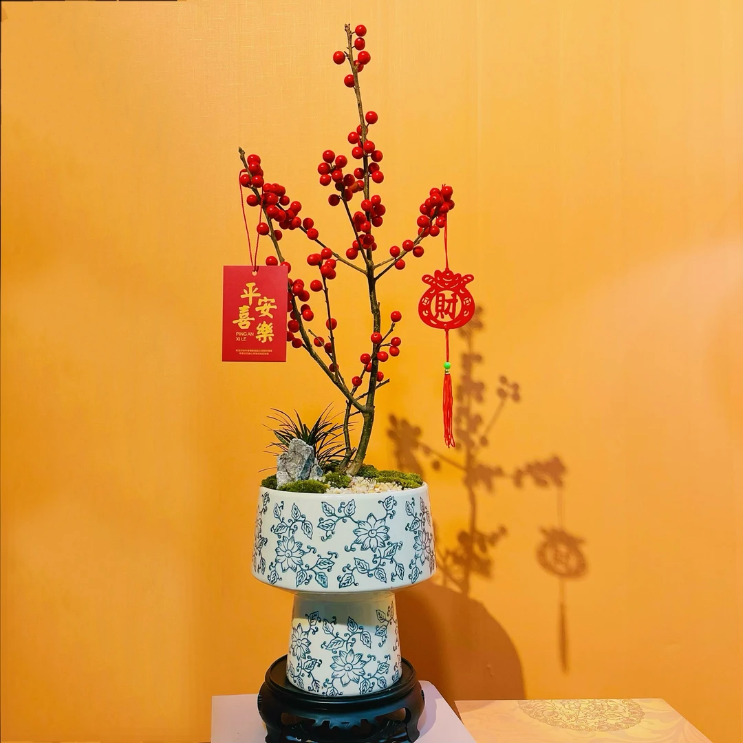 YJ青花瓷陶瓷盆冬青带果发货