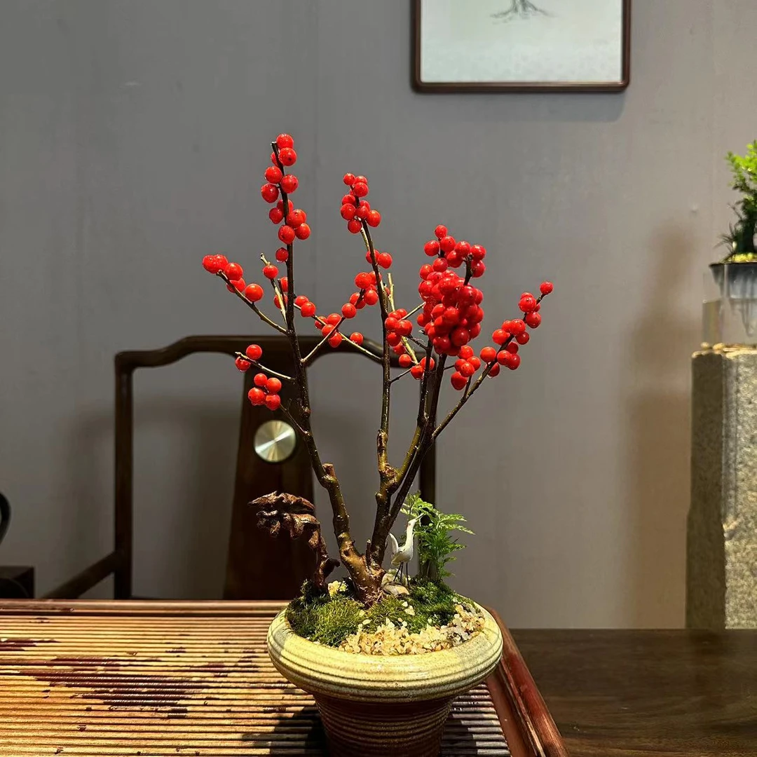 婉艺手工瓷盆小冬青造景带红果室内点缀空间好养易活接水盘
