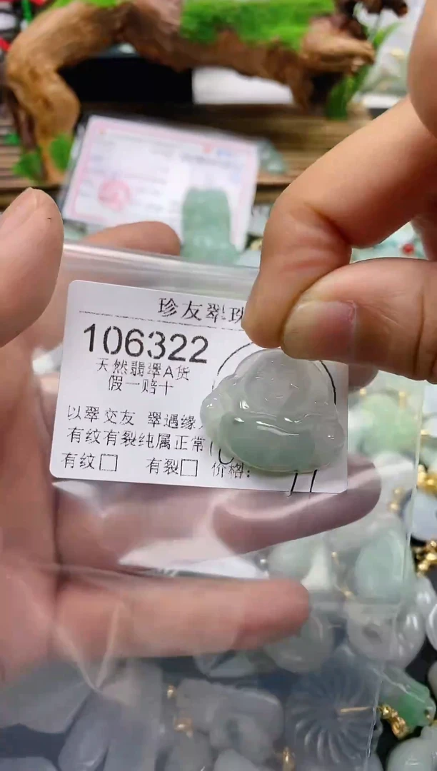 【闪购商品】翡翠颈饰未镶嵌106322