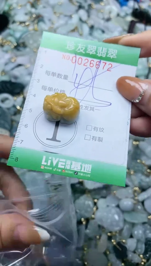 【闪购商品】翡翠颈饰未镶嵌闪购商品0026672