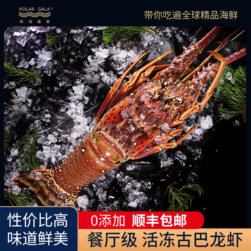 【巴西深海龙虾】鲜活冷冻400-600g/只