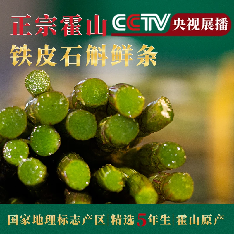 露天5年生长霍山石斛鲜条霍山滋补品明目压-非大棚石斛