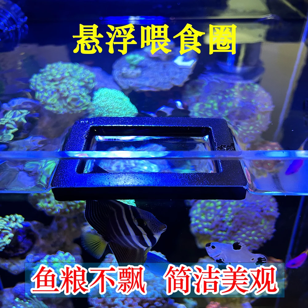海缸悬浮喂食圈尼莫蓝吊大帆海水鱼悬浮鱼儿投食圈大号水族箱漂浮
