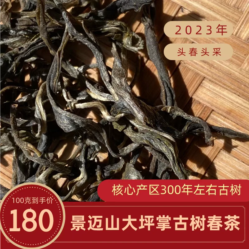 景迈山古树茶/核心大坪掌/三百年古树/2023年头春头采/普洱生茶