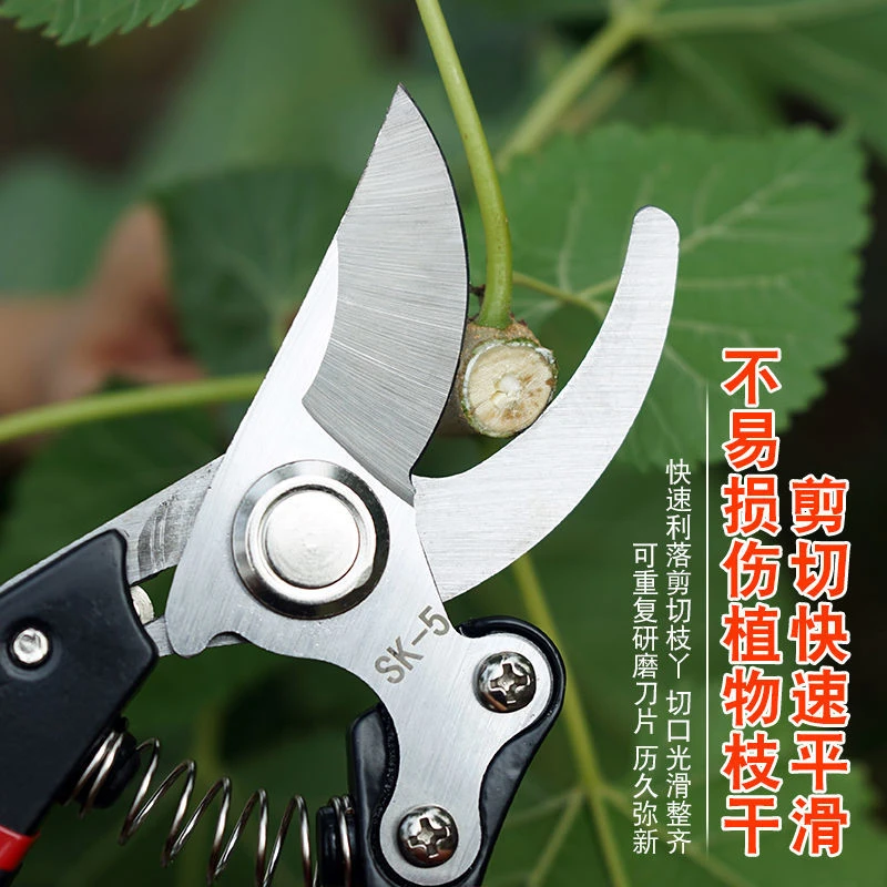 德国进口钢剪树剪子果树剪修枝剪粗枝剪园艺剪刀家用花木葡萄修剪
