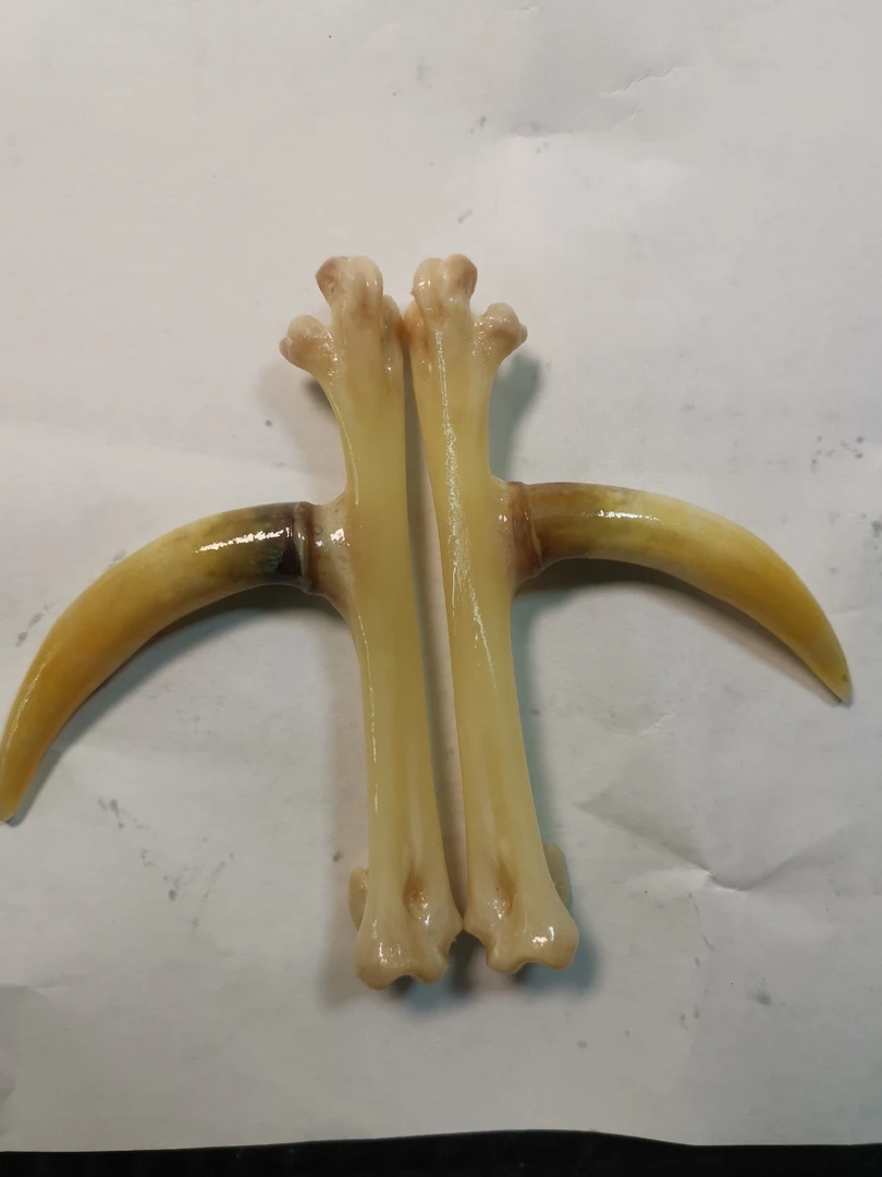 鸡凳子工艺品，一对黄色弯钩，精品制作，物有所值。