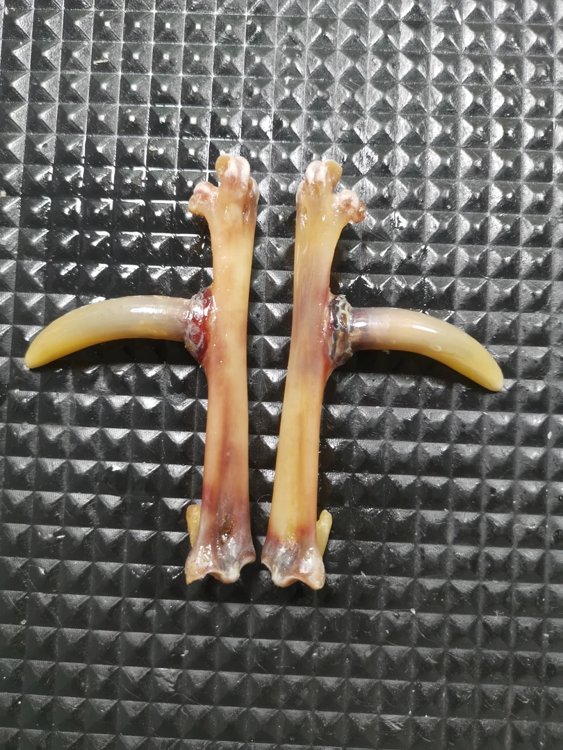 鸡凳子工艺品。精品制作，一对弯钩，物有所值。