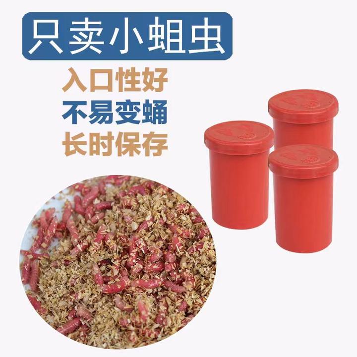 (拍一发二）钓鱼神饵鲜活红蛆虫鲫鱼马口公鱼溪流江湖狂拉爆护