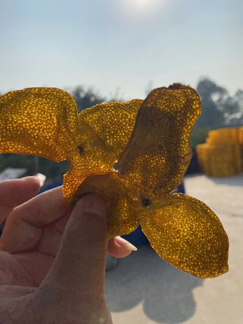 梅江塞口围原枝老树二红皮2024新会陈皮正宗批发