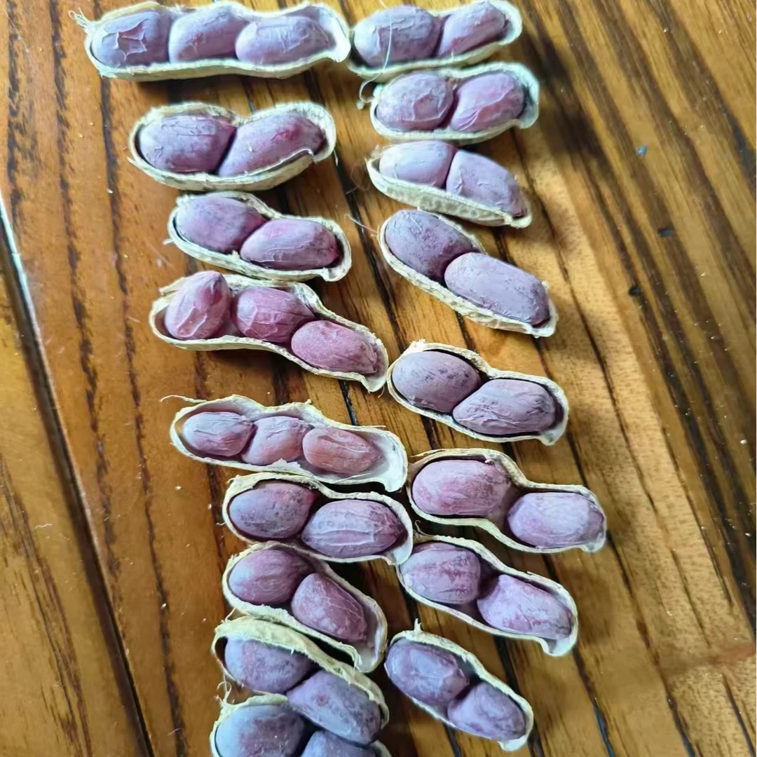 嵩口水煮白晒红皮花生精选果农家花生