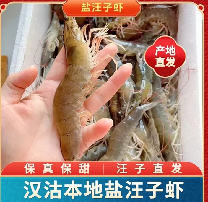 高盐汪子大虾 卤水虾《每斤19头左右》