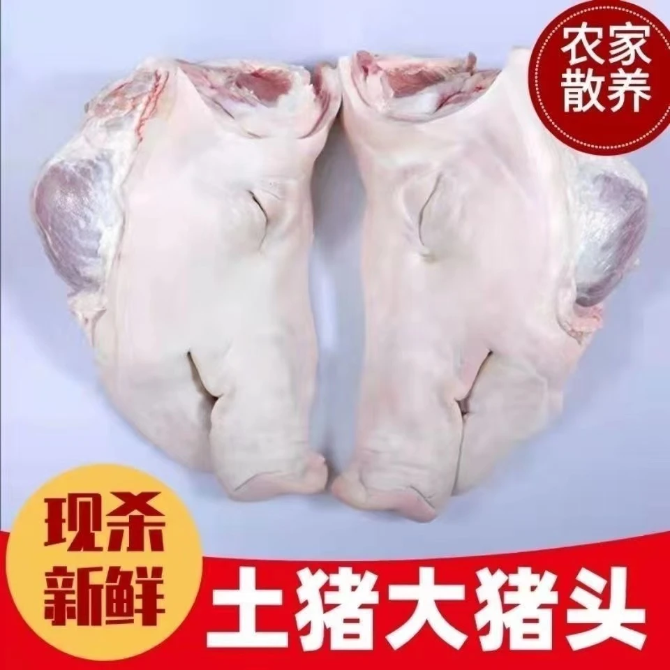 整只猪头新鲜现杀猪耳朵带骨劈开食用猪脸肉猪头冷冻猪头土猪顺丰