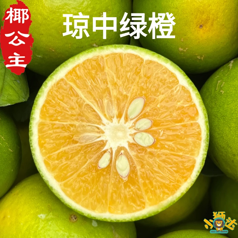 【椰公主小时达】正宗海南琼中绿橙  产地直发 应季时令新鲜水果 皮薄肉厚甜水汁多 3斤/5斤/10斤/装