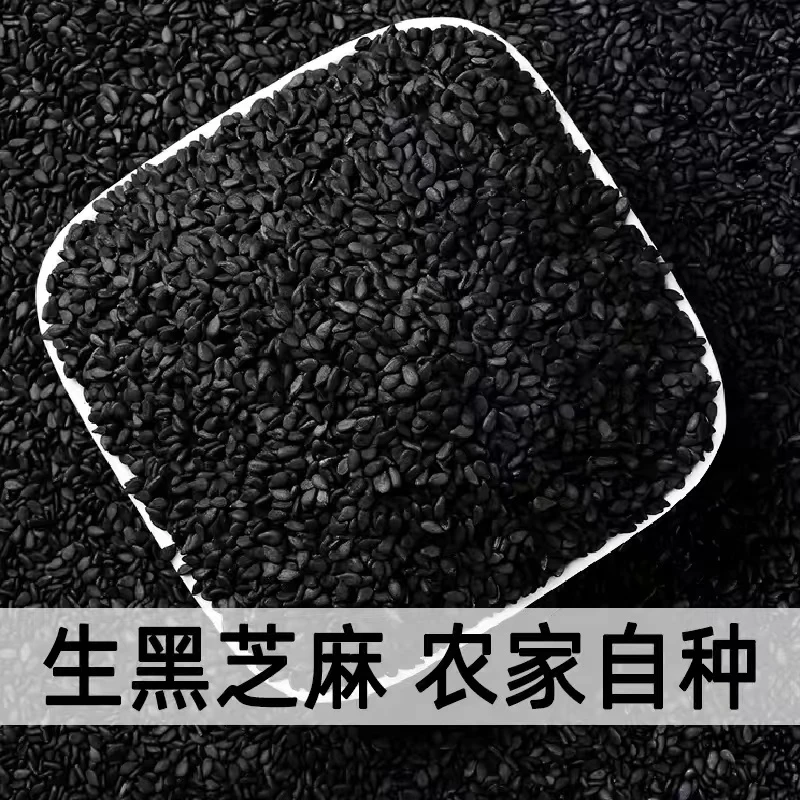 【农民电商】陕北旱地黑芝麻农家自产新货新鲜油芝麻仁干净无沙