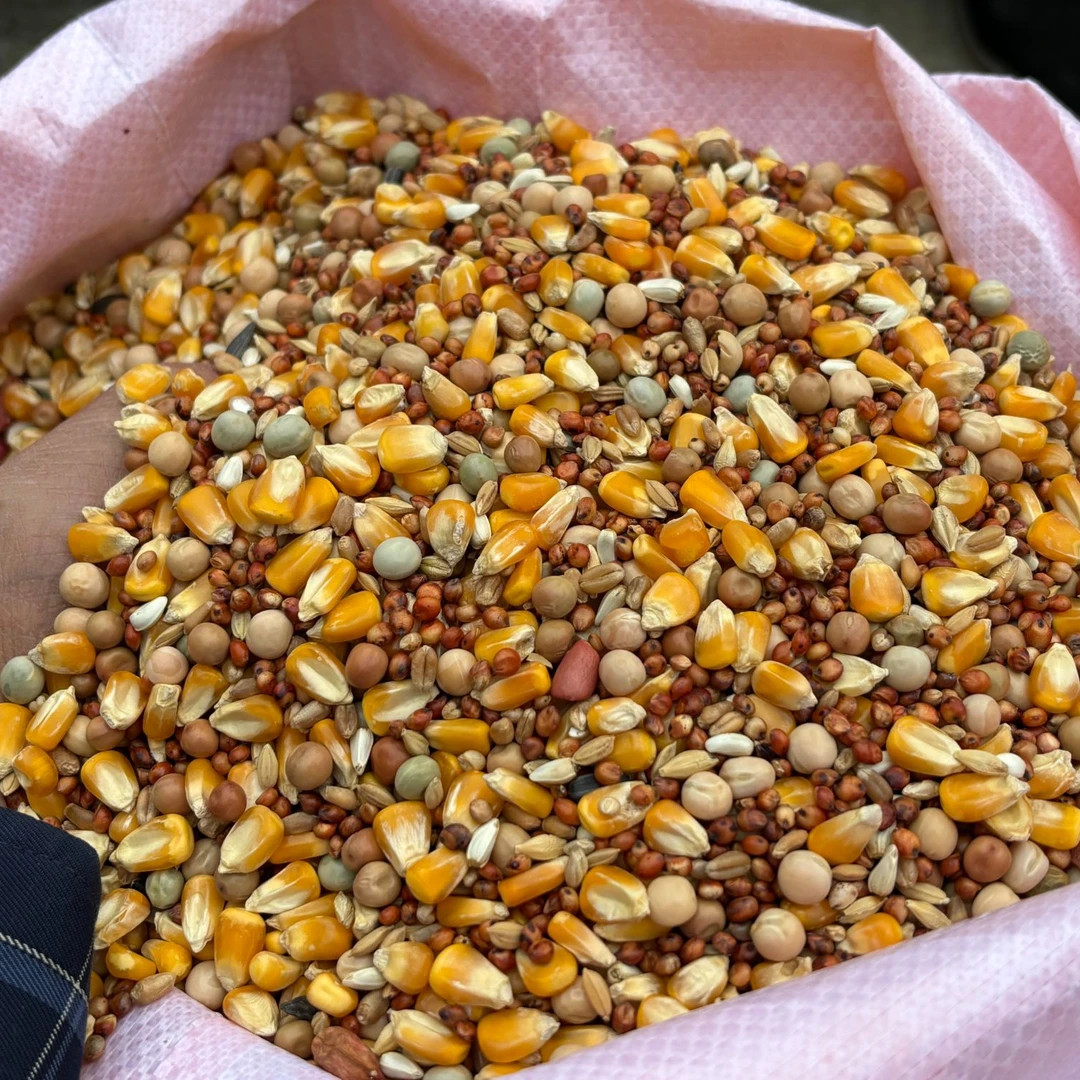 基础鸽粮玉米小麦红高粱豌油葵红花籽大麦花生稻谷所见即所得