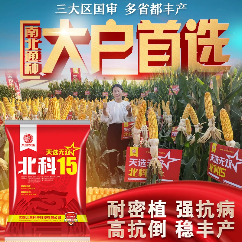 北科15玉米种子天选无双高产大户种植国审耐密植抗倒耐高温苞米种