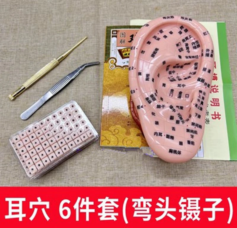 耳穴贴耳朵模型耳穴模型探针耳朵贴耳部反射区耳贴压豆贴弯头镊子