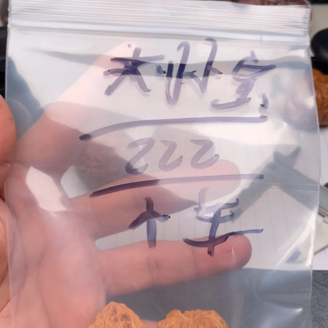 【闪购商品】文玩核桃吊坠刘*宝