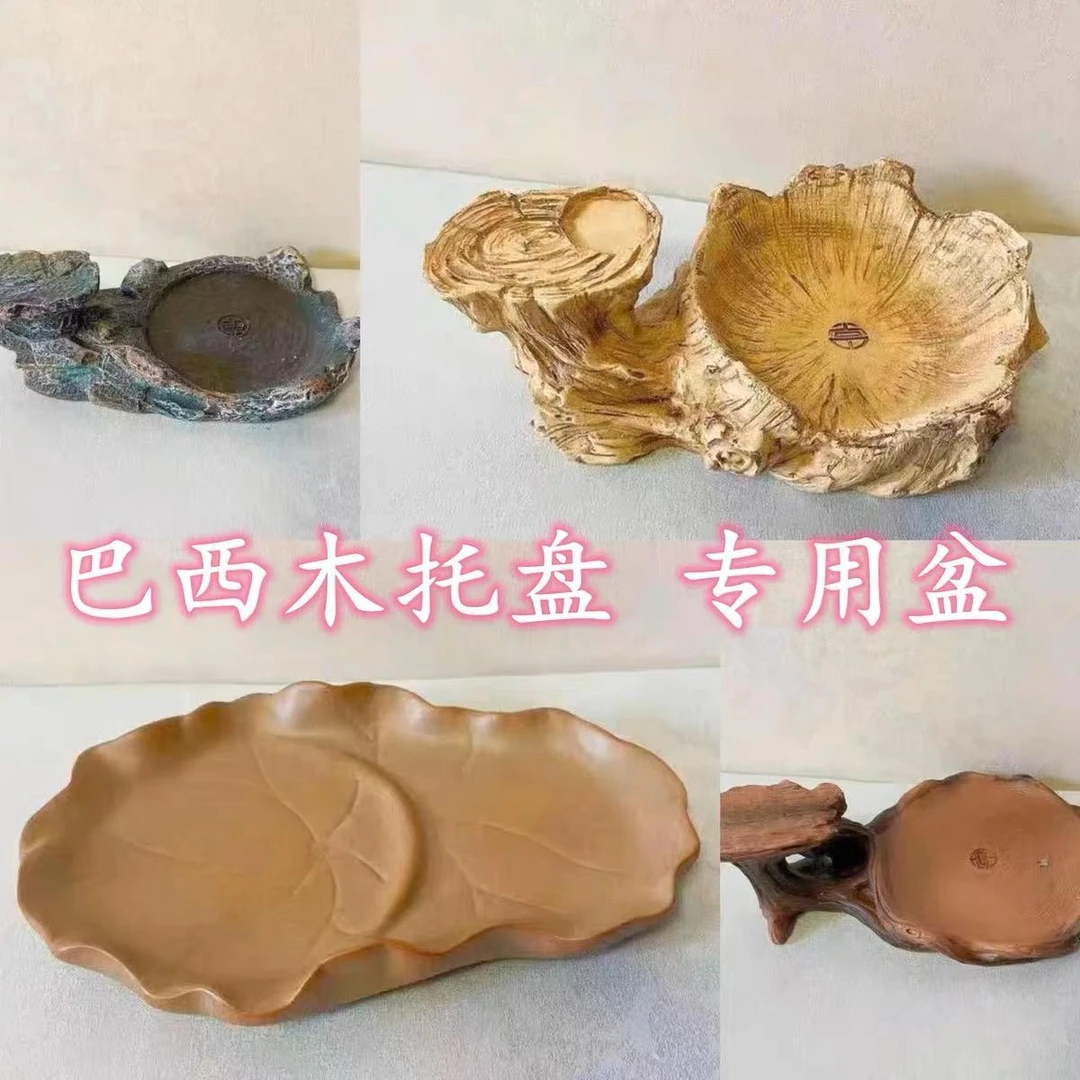 巴西木幸运木树脂花盆鎏金盆陶瓷荷叶盆巴西木底座