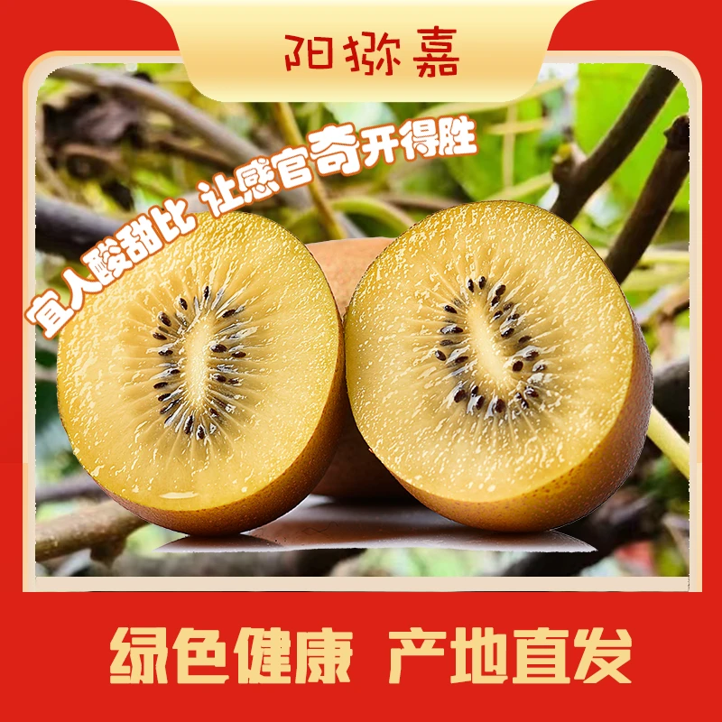 产地直发 ｜ 黄心奇异果猕猴桃 新鲜酸甜可口 果味十足