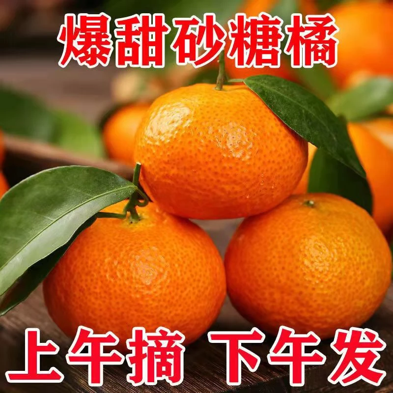 正宗广西砂糖橘小桔子皮薄柑橘新鲜现摘现发应季水果