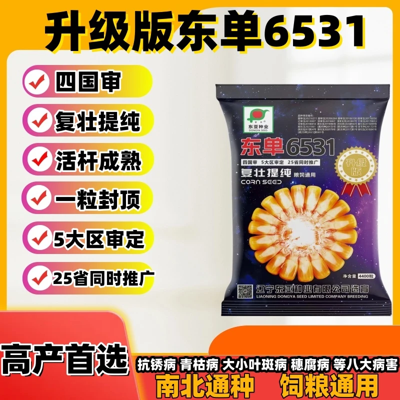 6531玉米种子
