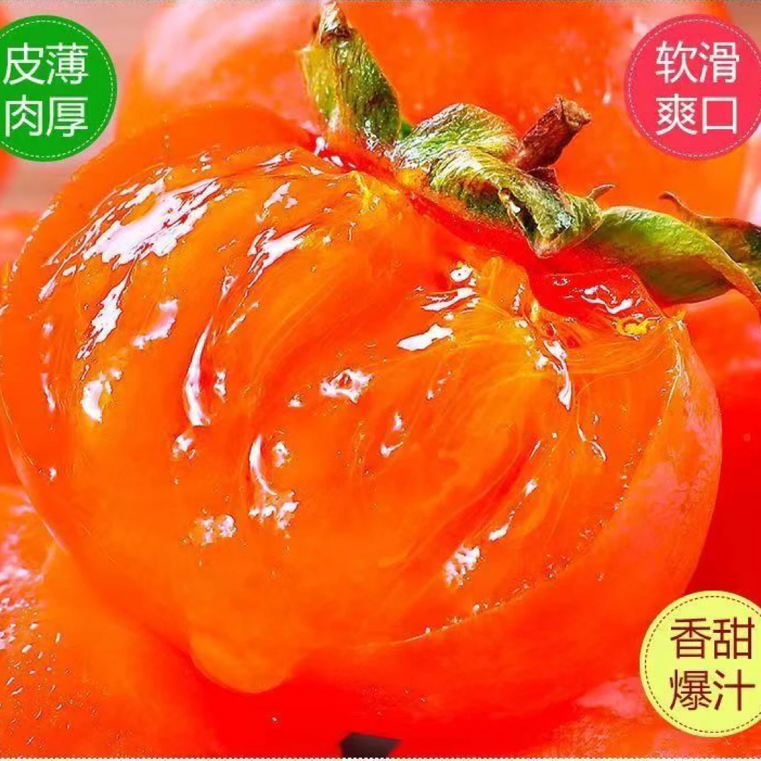 山西运城大可家正宗火晶柿子蜜甜软糯不涩二斤包邮