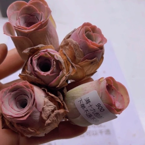 900 山地玫瑰基地