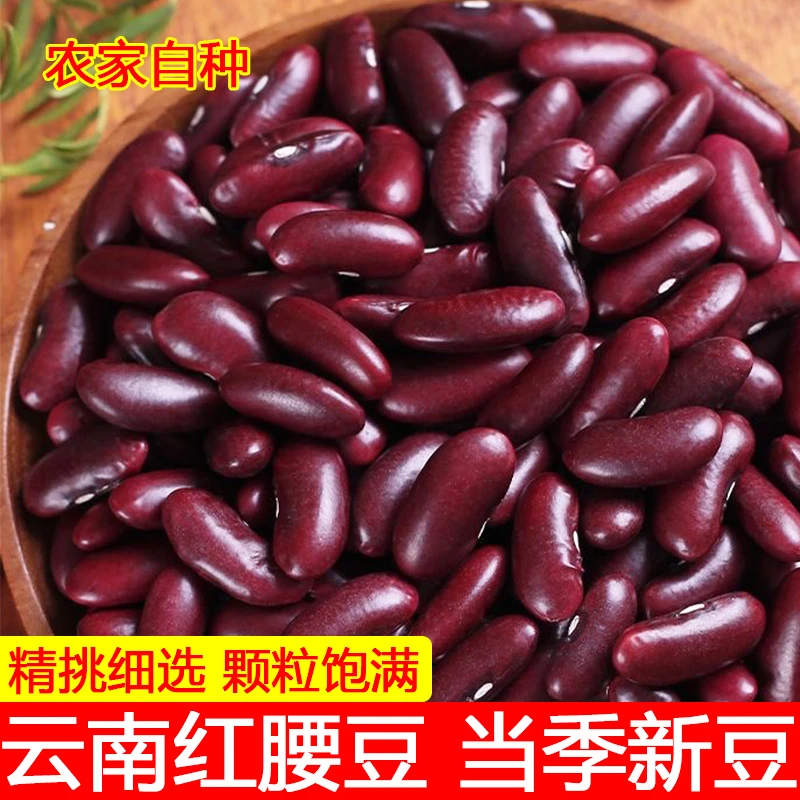 云南红腰豆农家自种新货大红豆大金豆煲粥煮汤炒菜豆沙红芸豆