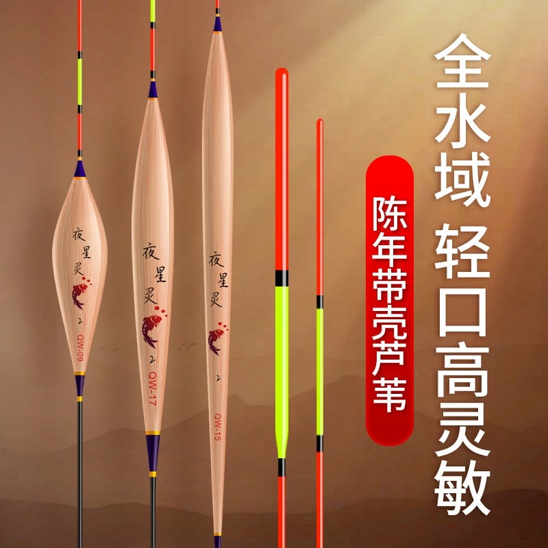齐手QW陈年带壳芦苇浮漂高灵敏轻口鲫鱼鲤鱼鱼漂醒目加粗