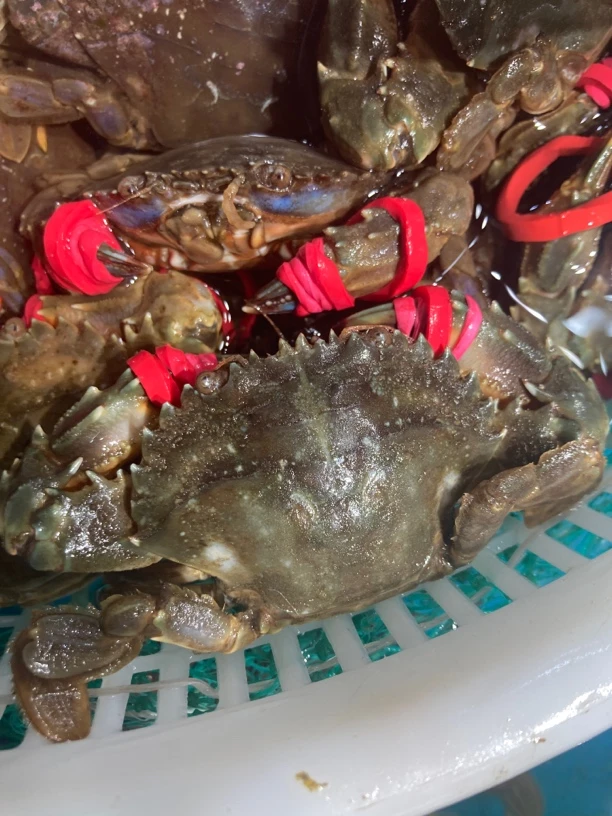 中大号！本地花盖保鲜不包活有断腿有皮筋嫌小勿拍8个头左右/斤