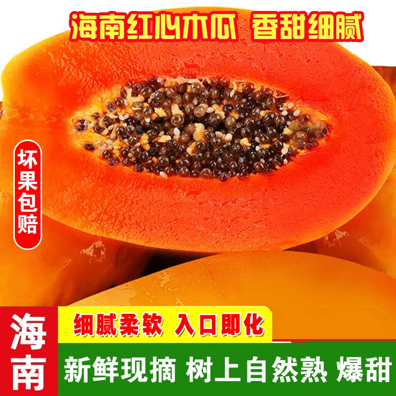 海南红心木瓜 牛奶木瓜树上自然熟皮薄香甜细腻新鲜孕妇水果5/8斤