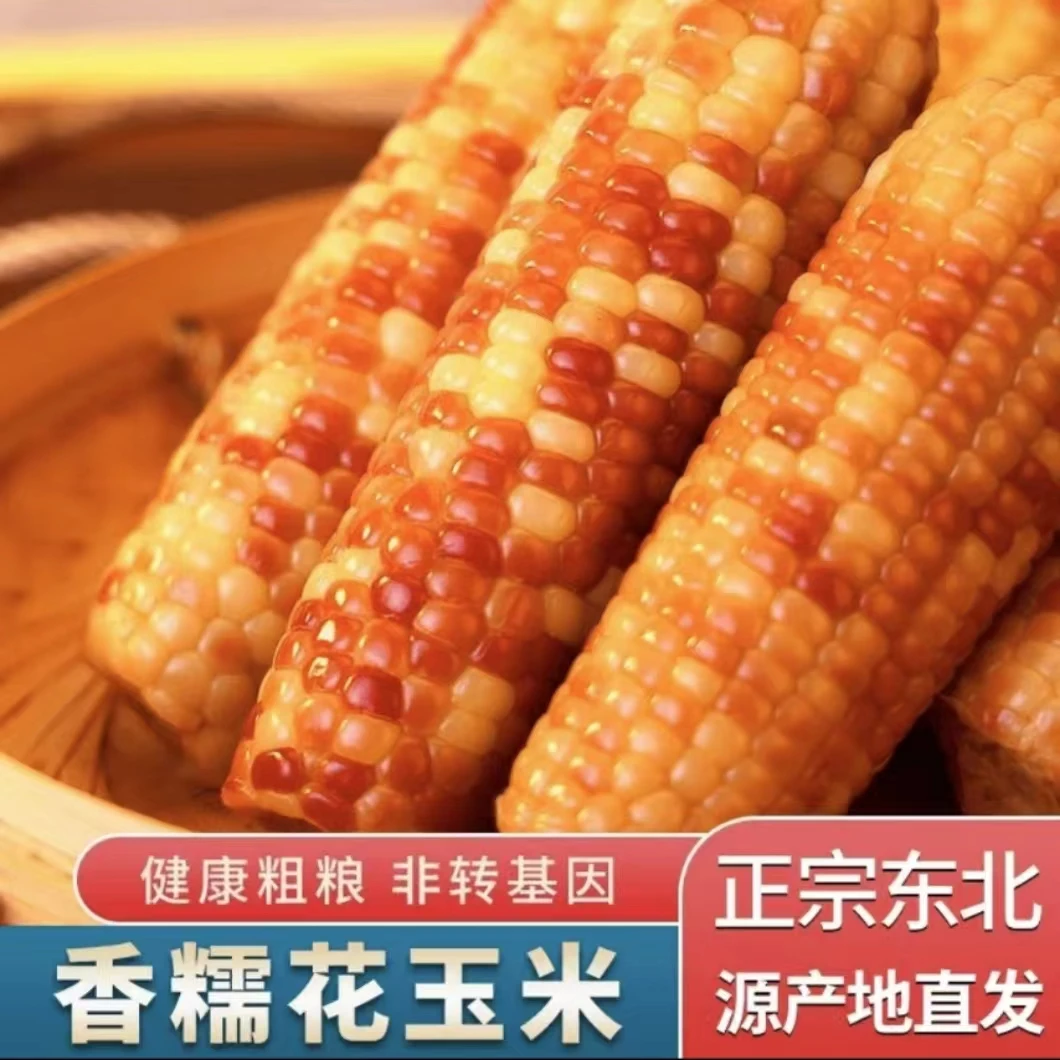 东北新鲜花糯玉米一箱10支6—7斤装