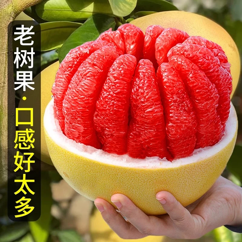 福建平和红心柚子蜜柚红肉新鲜水果当季整箱红心柚子