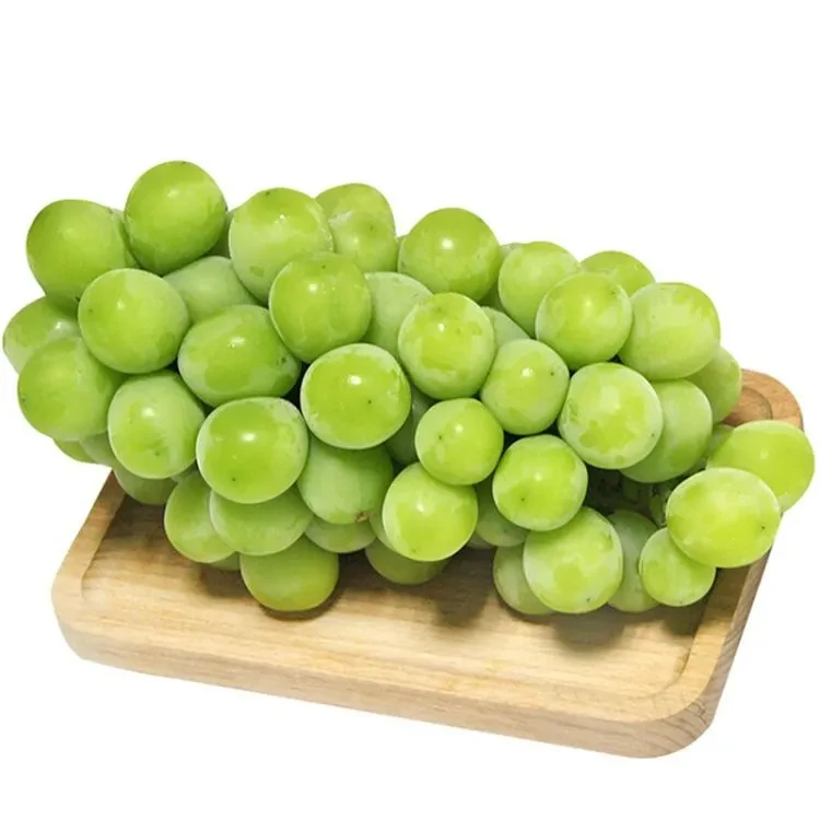 阳光玫瑰1200g±50g其他