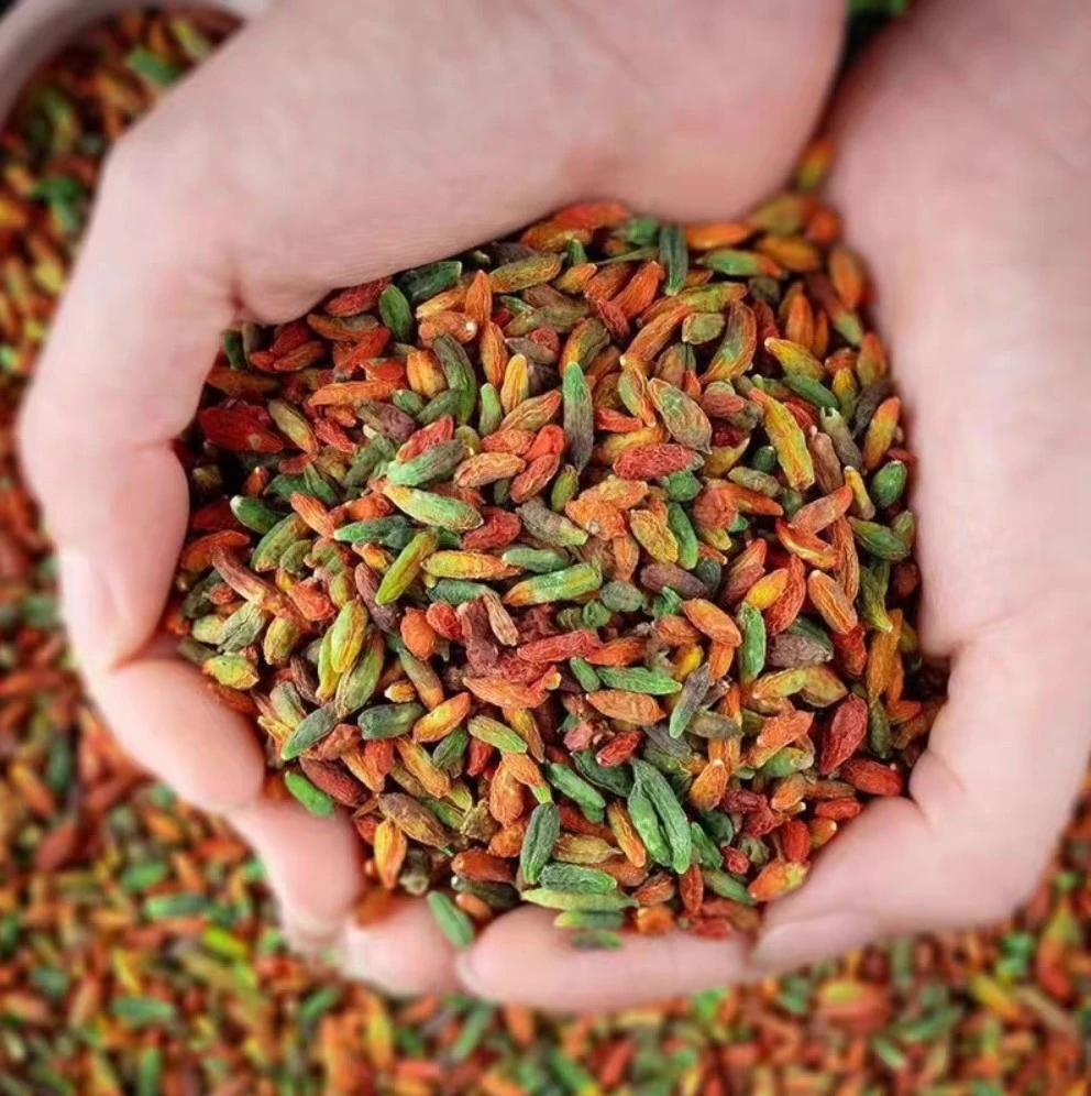 滇峰珍选---七彩枸杞