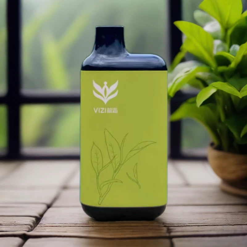 蔚淄本草雾化大喷雾润嗓器遇健水果润嗓电子中药草本雾化器吸入式