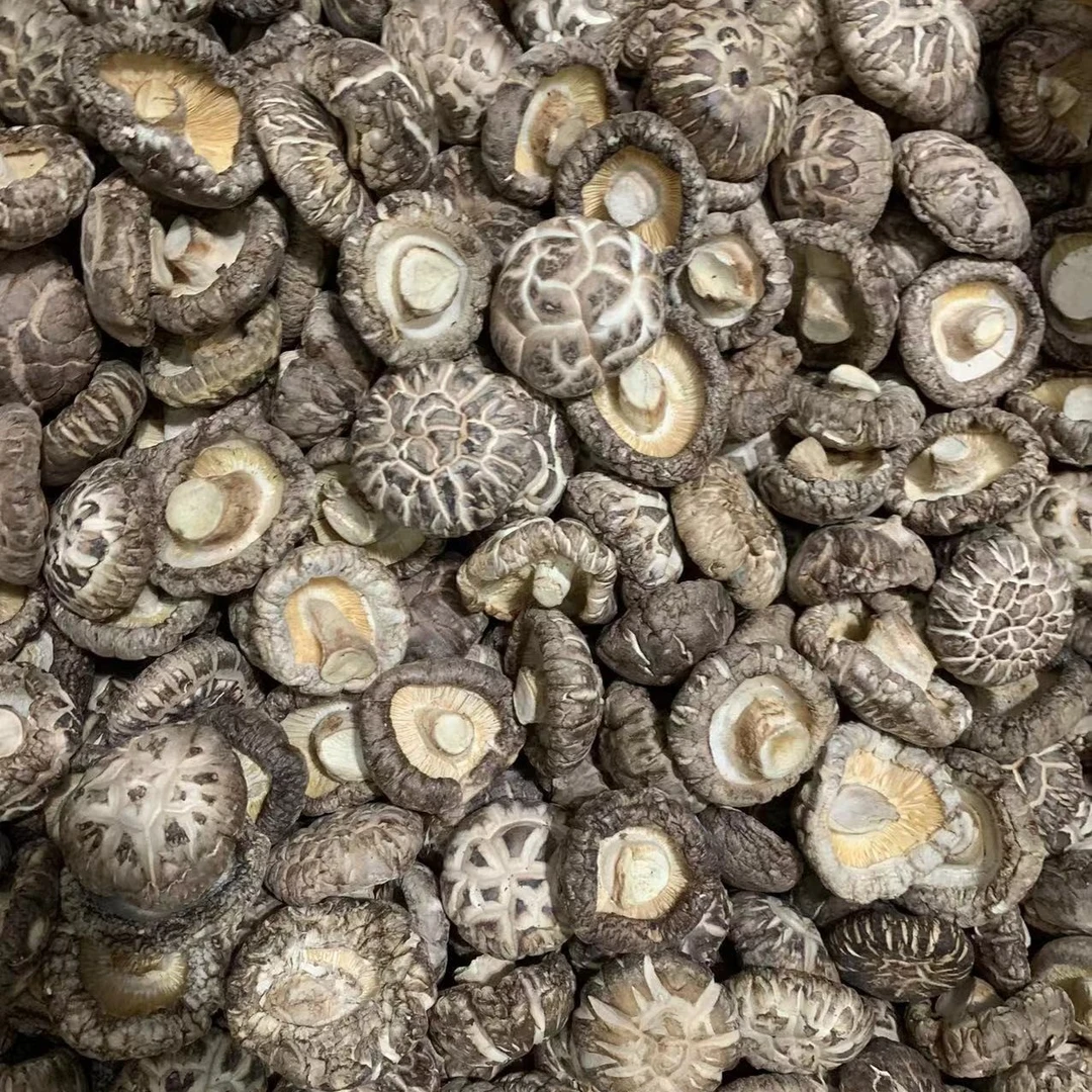 【三三】花菇400克