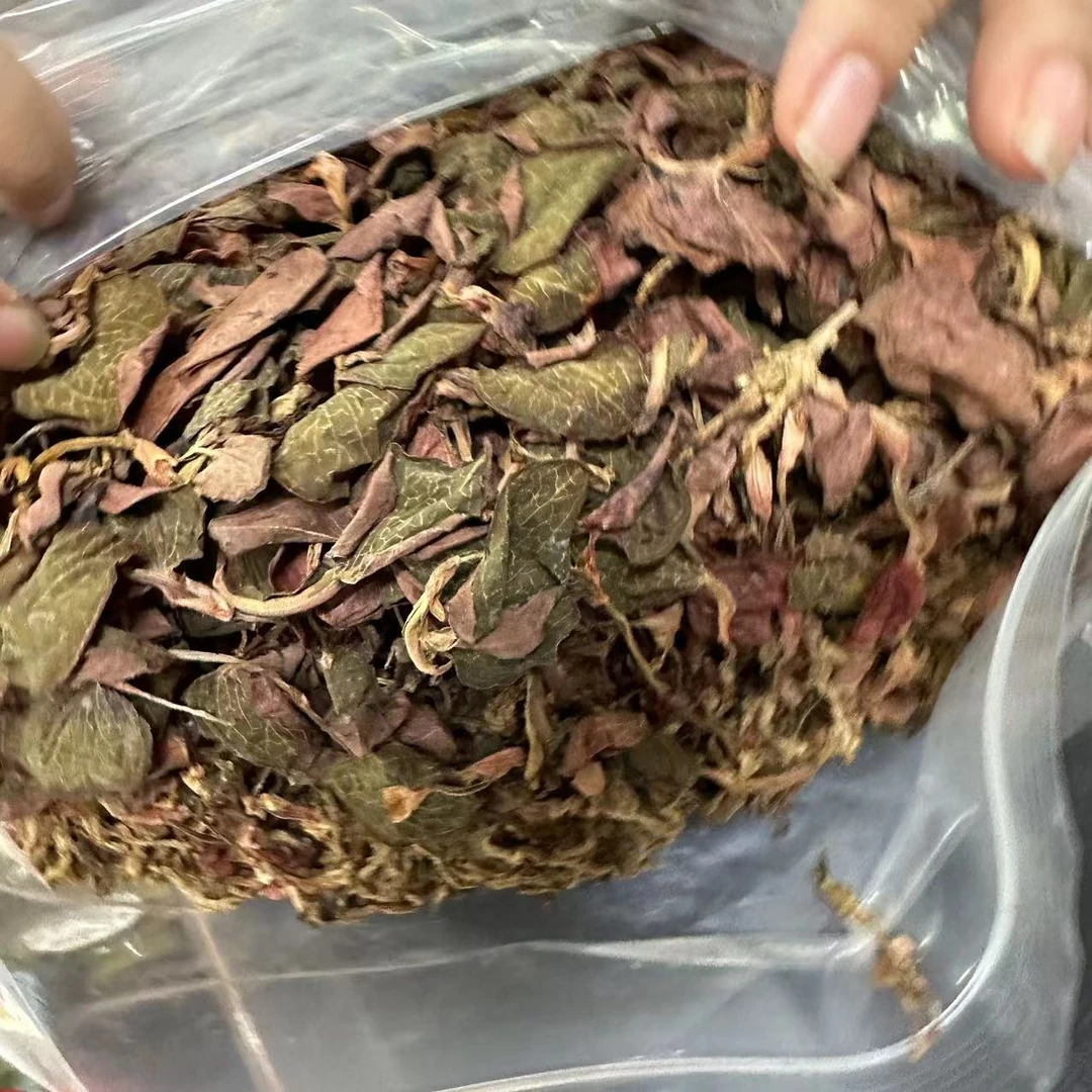 【三三】红霞金线莲  50g