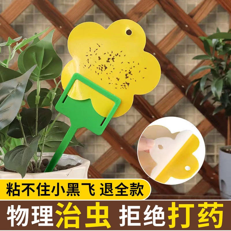 粘虫板花型诱虫板家用双面飞虫果蝇器粘虫纸花卉盆栽小黄板大棚