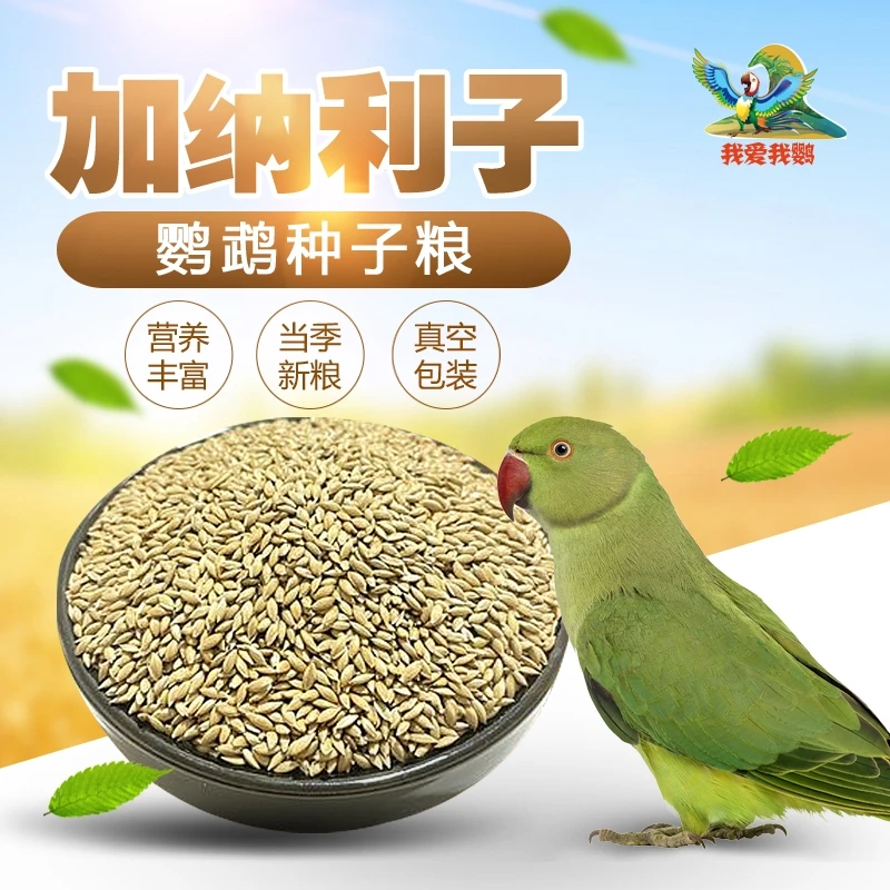 虎皮玄凤牡丹小太阳和尚鹦鹉增肥加纳利子鹦鹉鸟粮谷子鸟食