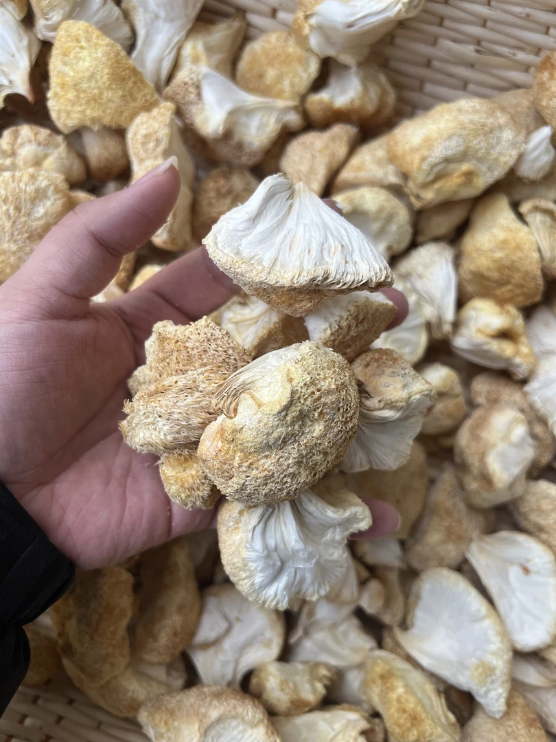 农家猴头菇干货新货包邮